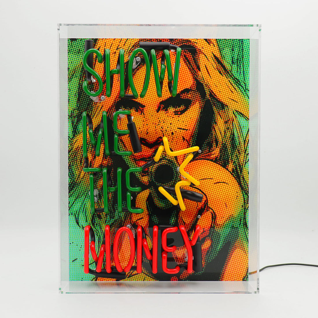 'Show me the Money' Glass Neon Box Sign