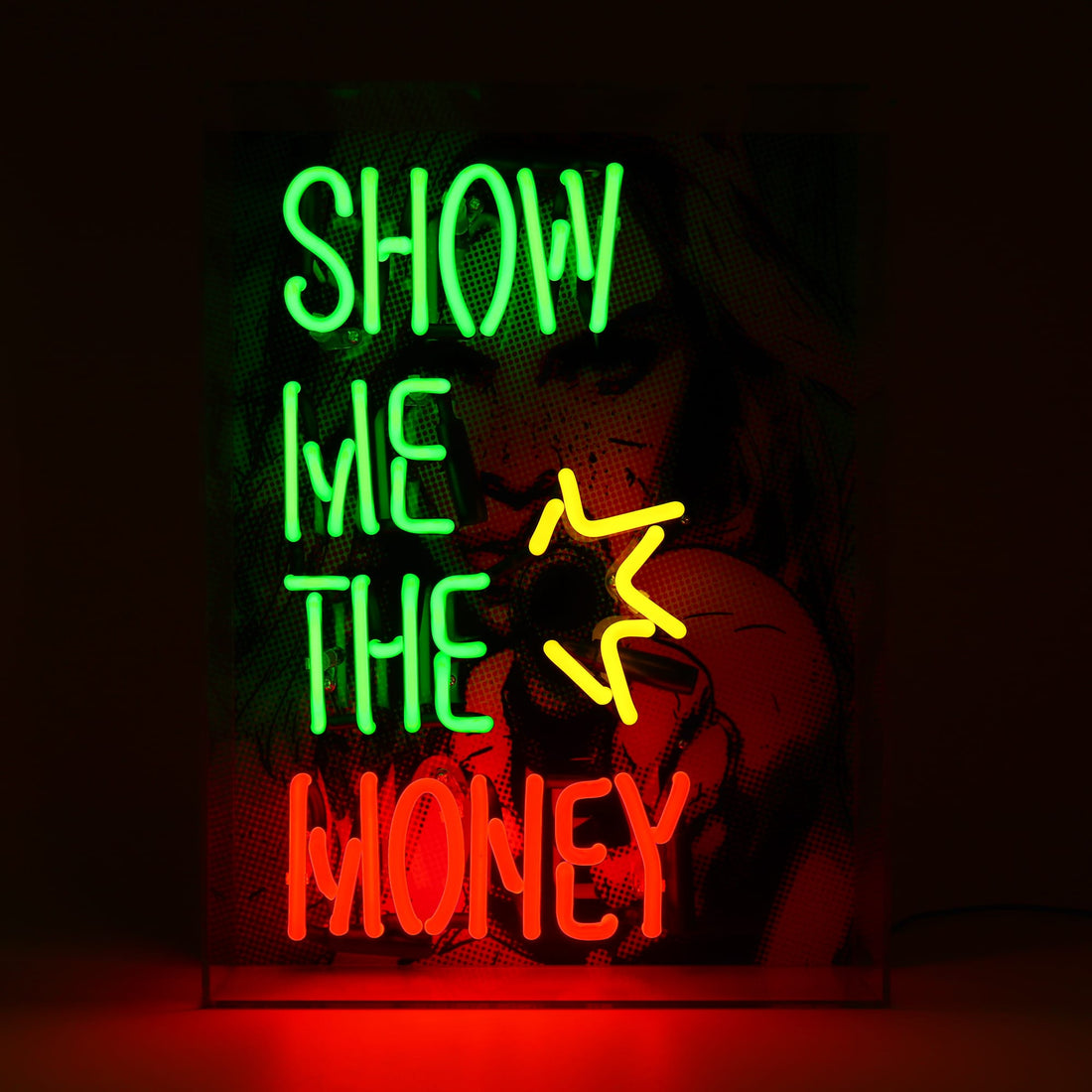'Show me the Money' Glass Neon Box Sign