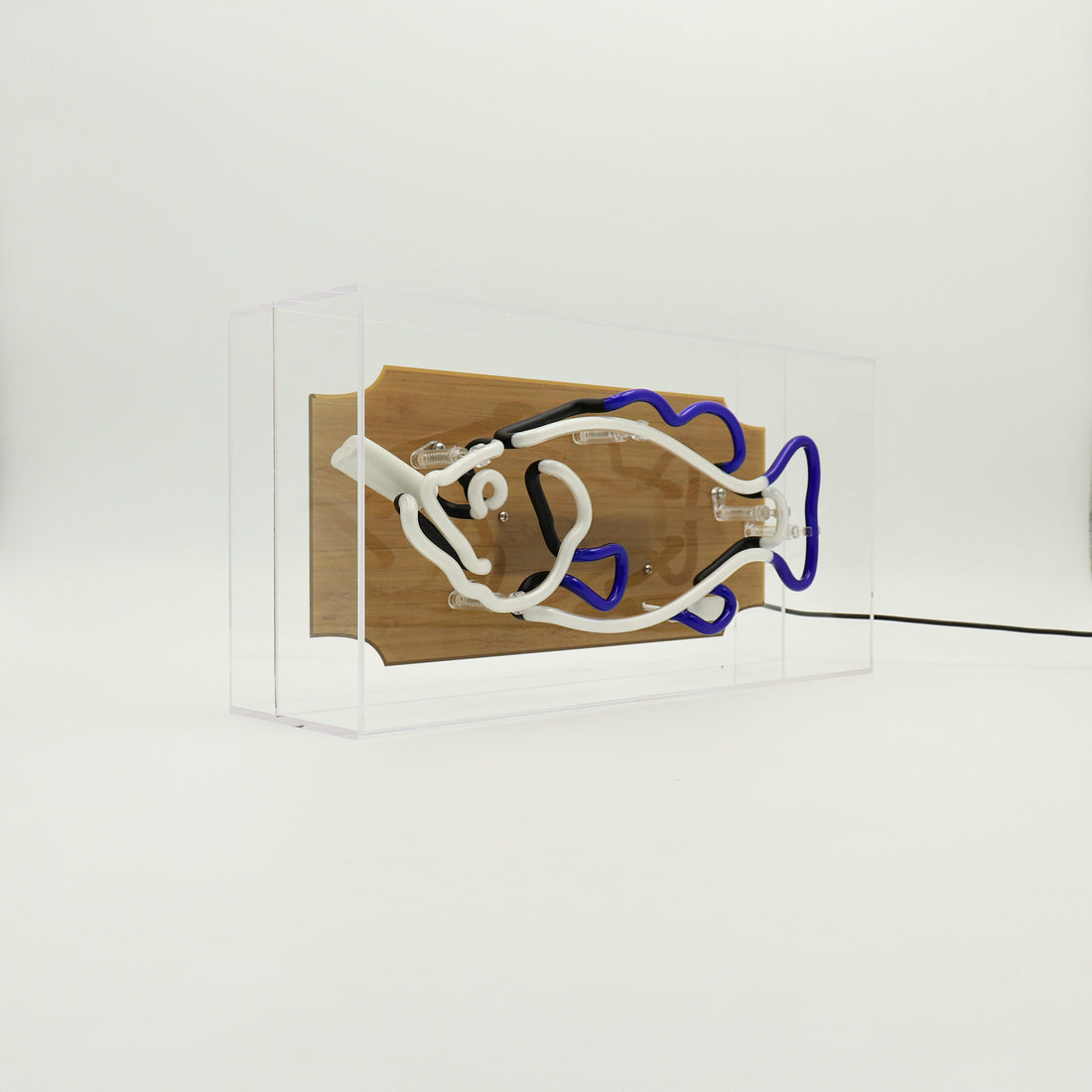 'Trophy Fish' Glass Neon Sign