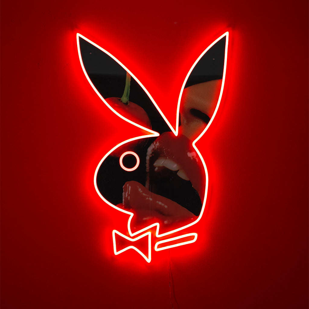 ZCWO x Playboy #4 BunnyS PINK プレイボーイ Mr. To-Fu Playboy by DEVILROBOTS x ZCWO - The Toy Chronicle