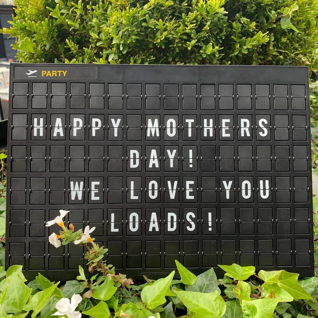 Locomocean Board - A4