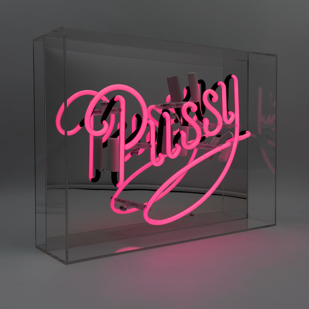 'Pussy' Acrylic Box Pink Neon Sign