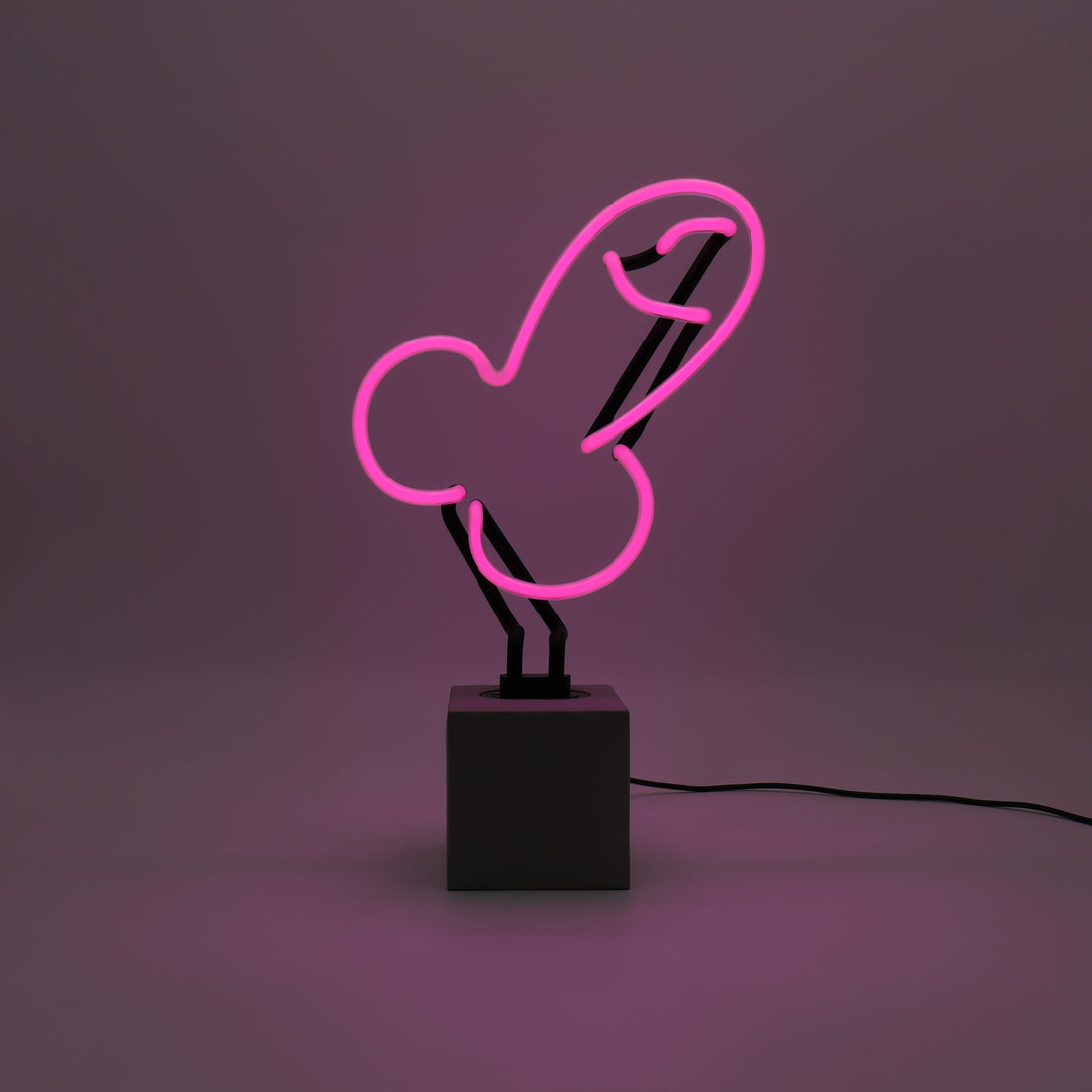 Neon 'Dick' Sign