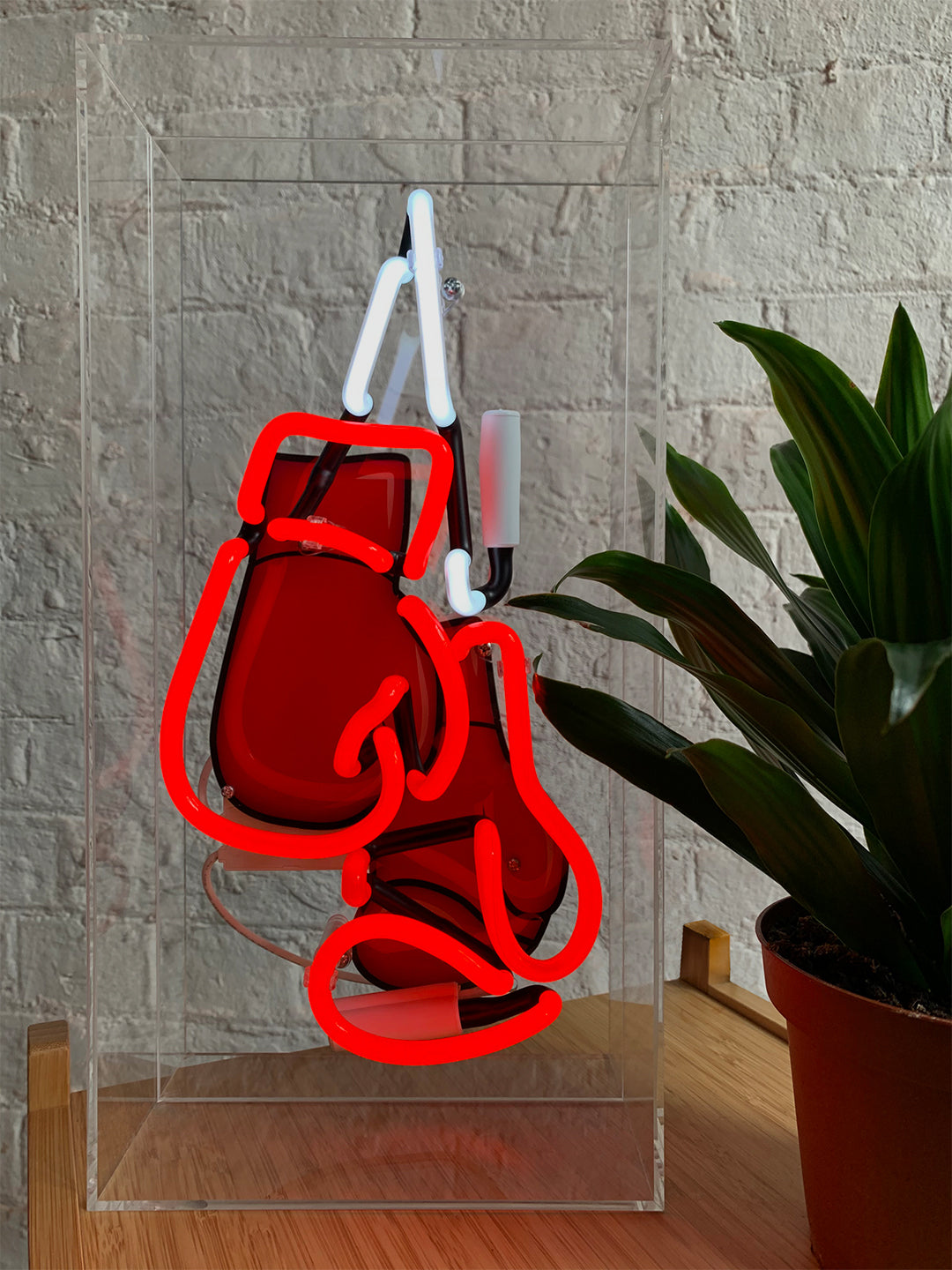 'Boxing' Large Acrylic Box Neon - Boxing Gloves with Graphic