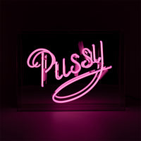 'Pussy' Acrylic Box Pink Neon Sign