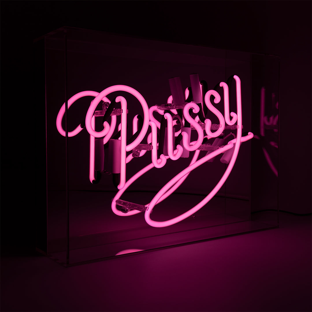'Pussy' Acrylic Box Pink Neon Sign